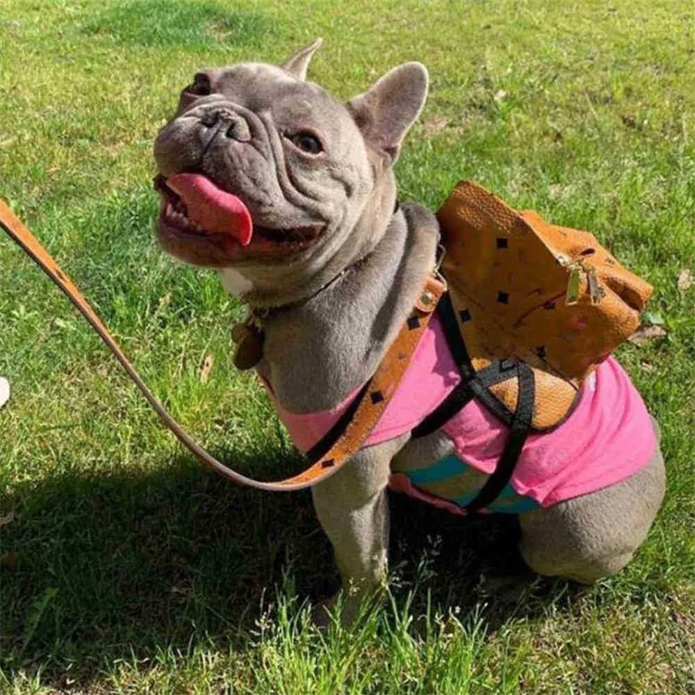 Impresso clássico animal de estimação carta coleiras primavera outono mais recente designer schnauzer trelas ao ar livre luxo plutônio bulldog coleiras leashes291n