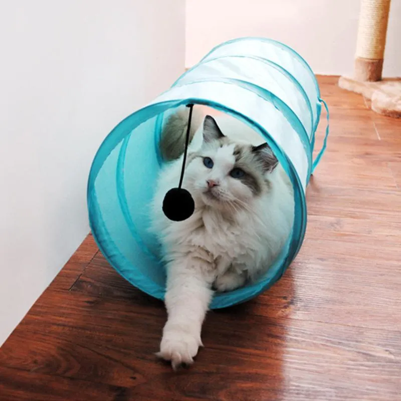 Túnel de brinquedos de gato com bola de jogo cor pura material gatinho dobrável pet fornece armação de aço engraçada