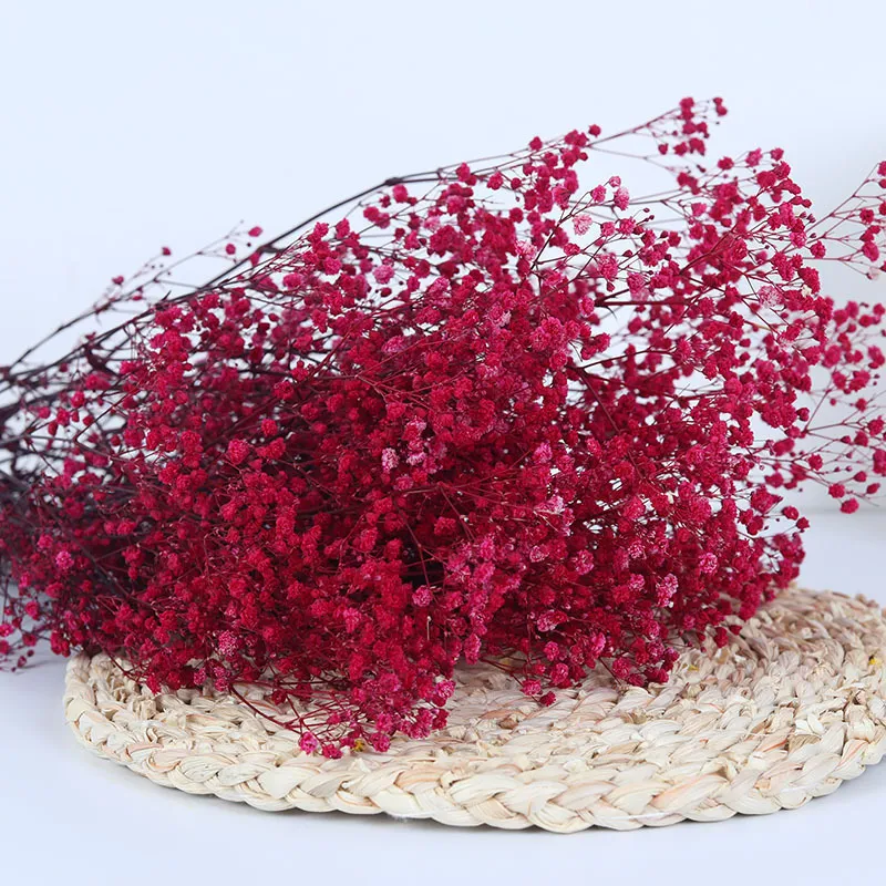  Flores secas naturales preservadas secas Gypsophila Paniculata  Ramos de flores de aliento de bebé, regalo para boda, decoración del hogar,  accesorios para fotos de flores para decoración (color blanco 1, tamaño