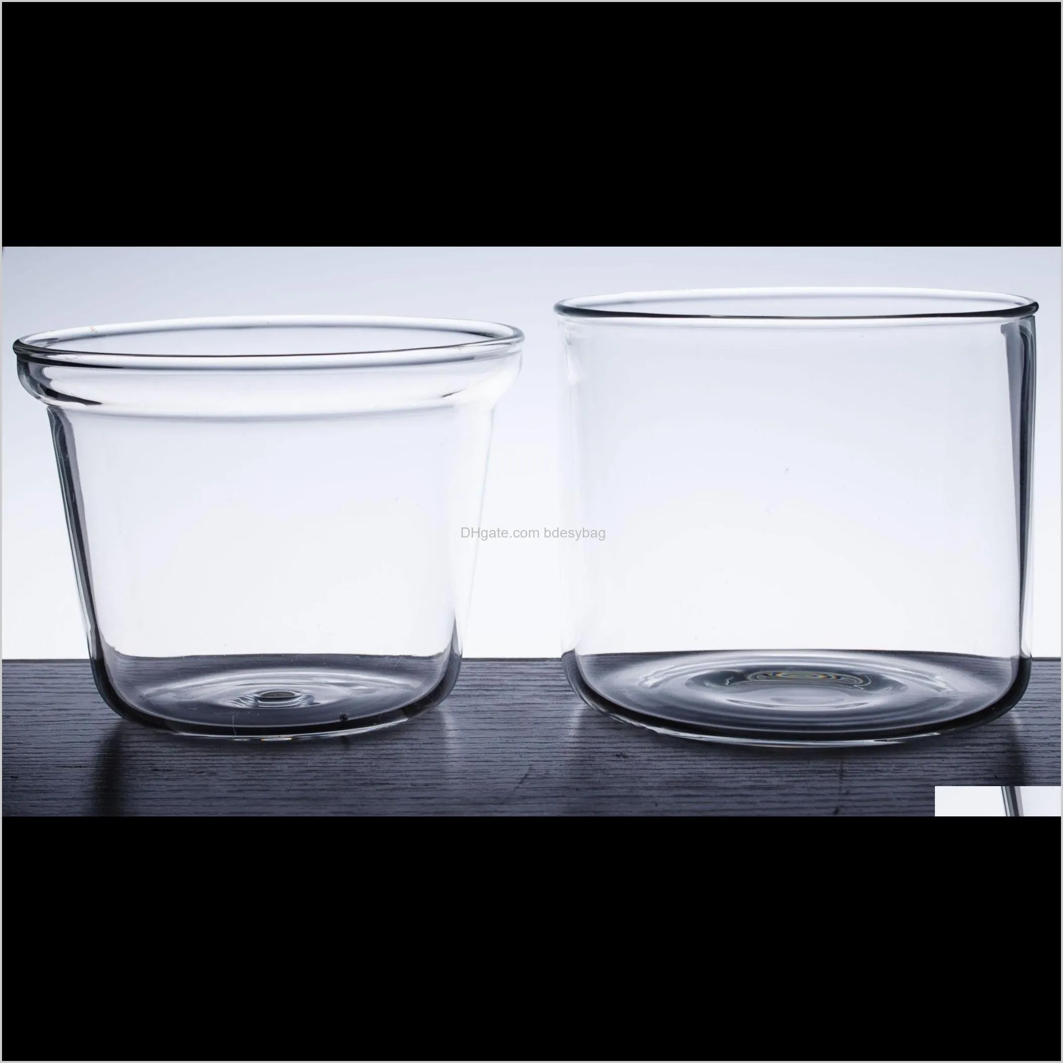 1x 400ml clear glass bowl garden planter vase flower pot with glass infuser home modern pot for green plant