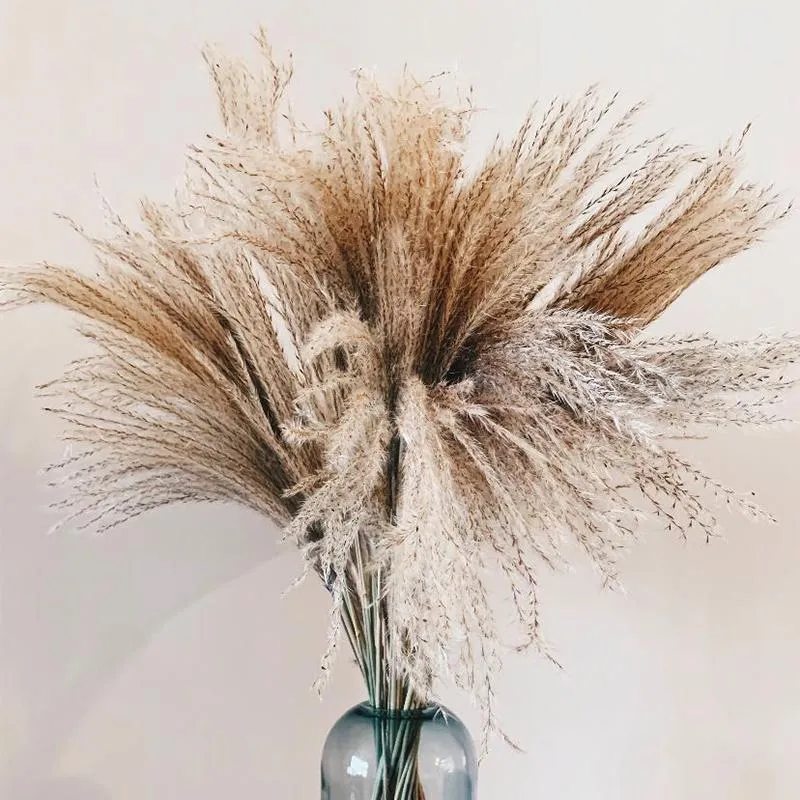 Flores secas naturais casamento decorativo Pampas Reed Reed Whisk Grama Artificial Flor Bunch Plant Home Ornamentos