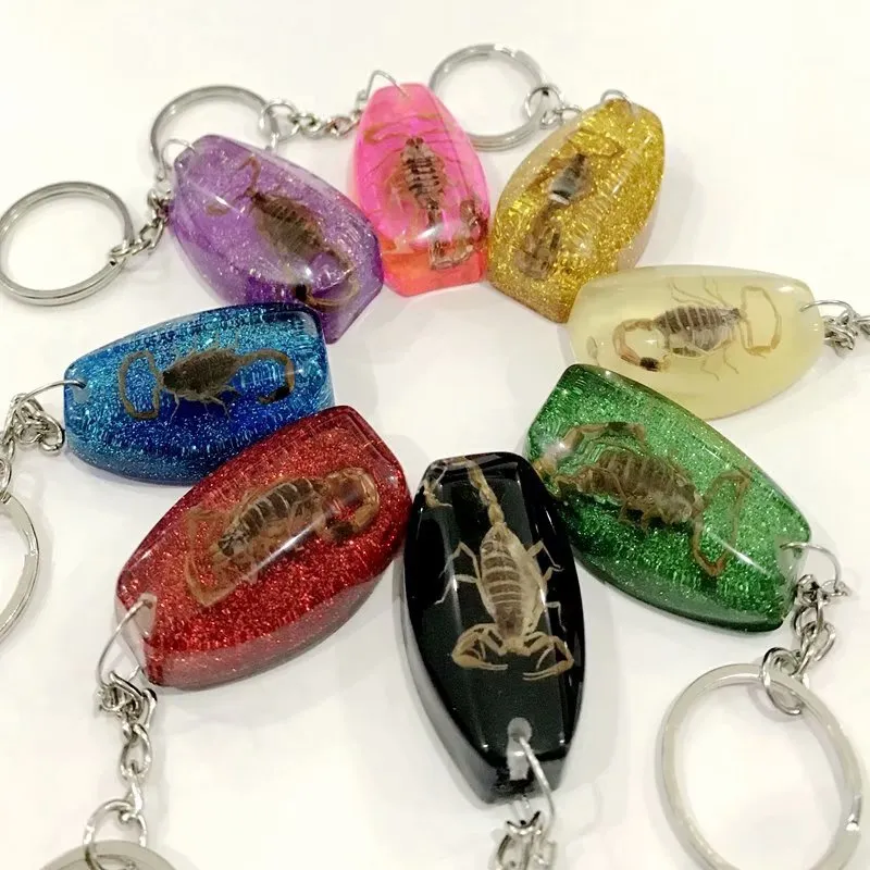 10 pcs New Style Keychain Mixed Colorful Charming cool Specimen