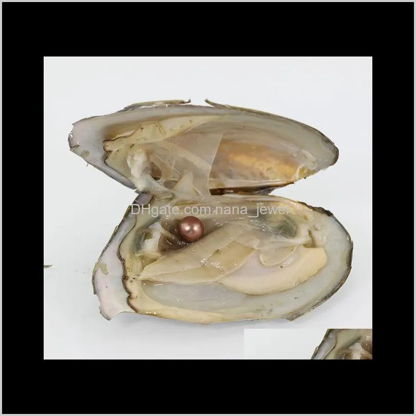 Wholesale Pearl Oyster 6-7mm Round 25 Colors freshwater natural Cultured in  Oyster Pearl Mussel Supply