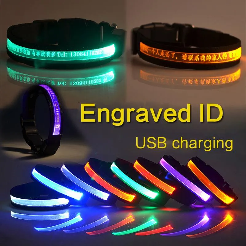 Hundehalsbänder, Leinen, Halsband-ID, personalisiertes USB-Lade-LED-Haustier-Tag-Licht, graviertes individuelles Namensschild für Welpen und Katzen, Nylon-Zubehör