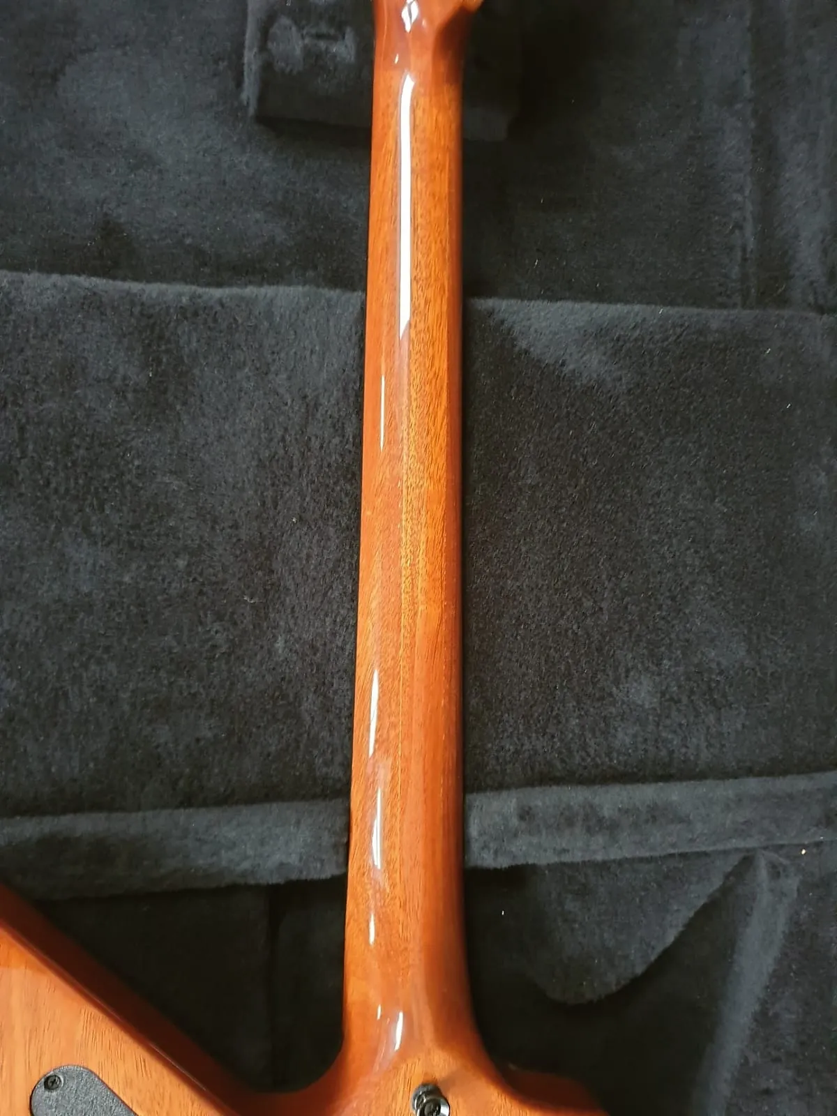 Chitarra Elettrica Dimebag Southern Cross Dime 3 Figured Top – Floyd Rose, Naturale