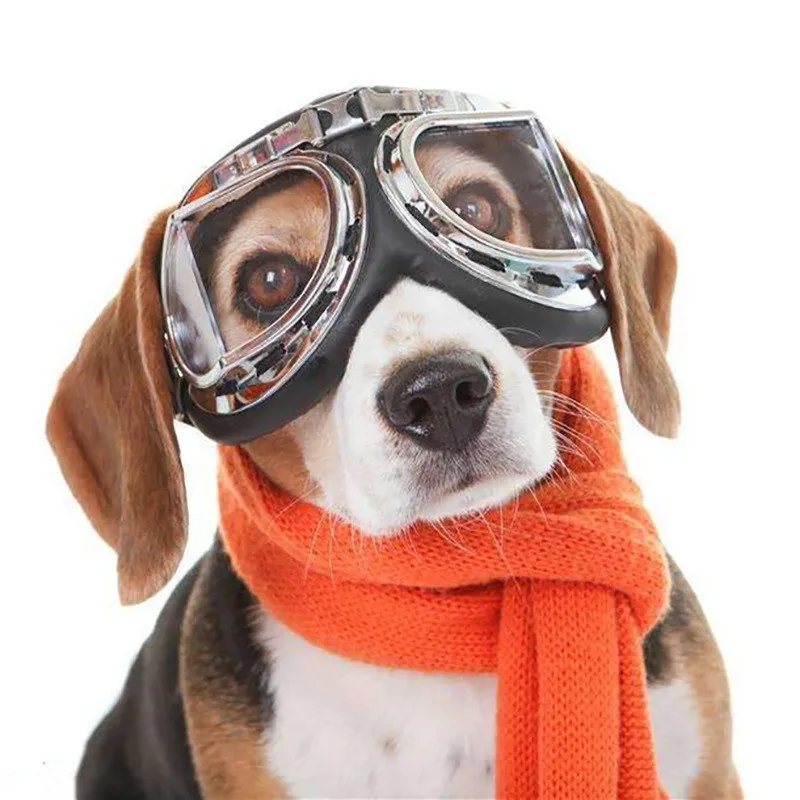 كبير الإطار الحيوانات الأليفة نظارات الشتاء في الهواء الطلق هارلي نظارات الكلب الملابس تيدي الصلصال كورجي جرو لوازم قابل للتعديل