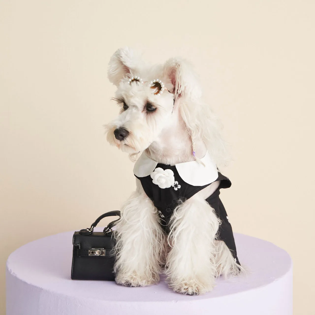 Dog Dress Shirt Jacket Kläder Tryckt Pet T-tröja Targel Schnauzer Corgi Pug Puppy Costume