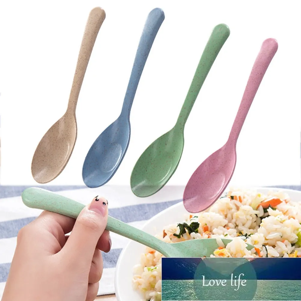 Kitchen Accessories wheat straw Spoon Portable High Quality Eco friendly tableware Sale Restaurant