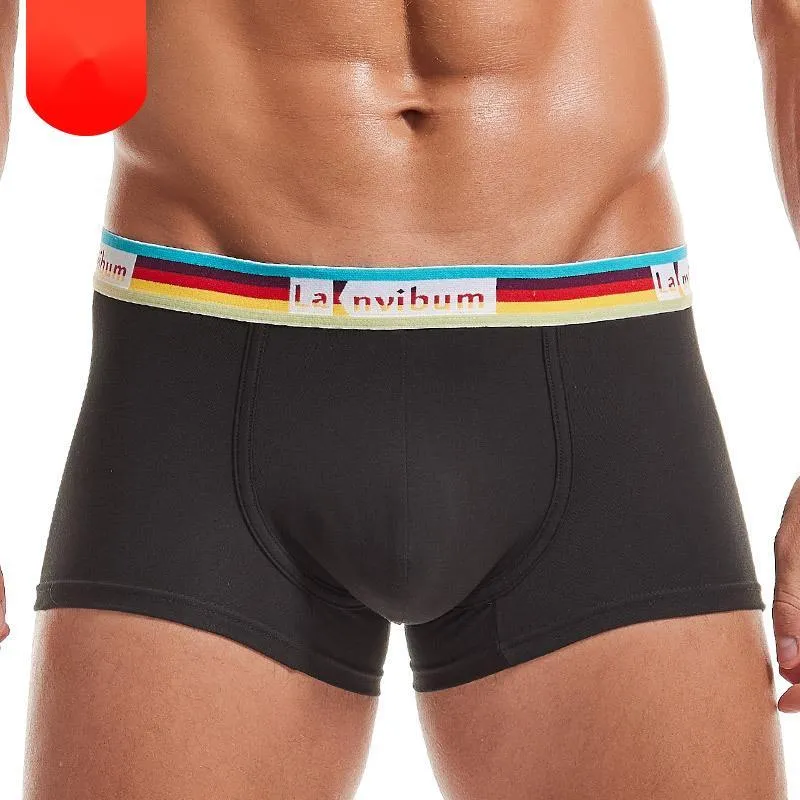 Underpants Men's Underwear Boxers Cotton Medium Waist Rainbow Belt Male Panties Breathable Sexy Men Boxer Shorts Head