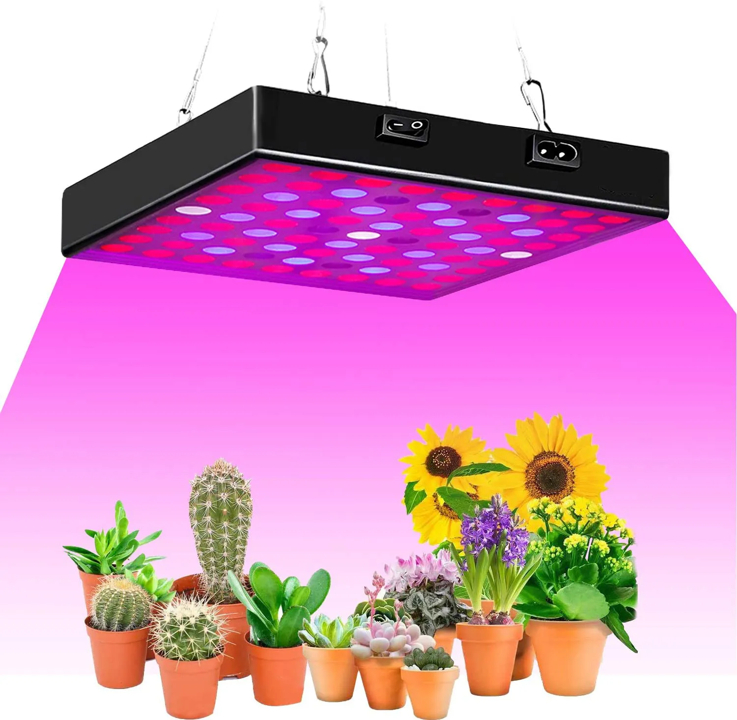 Full Spectrum LED Grow Light - 50W/80W Phyto Lamp for Indoor Plants ...