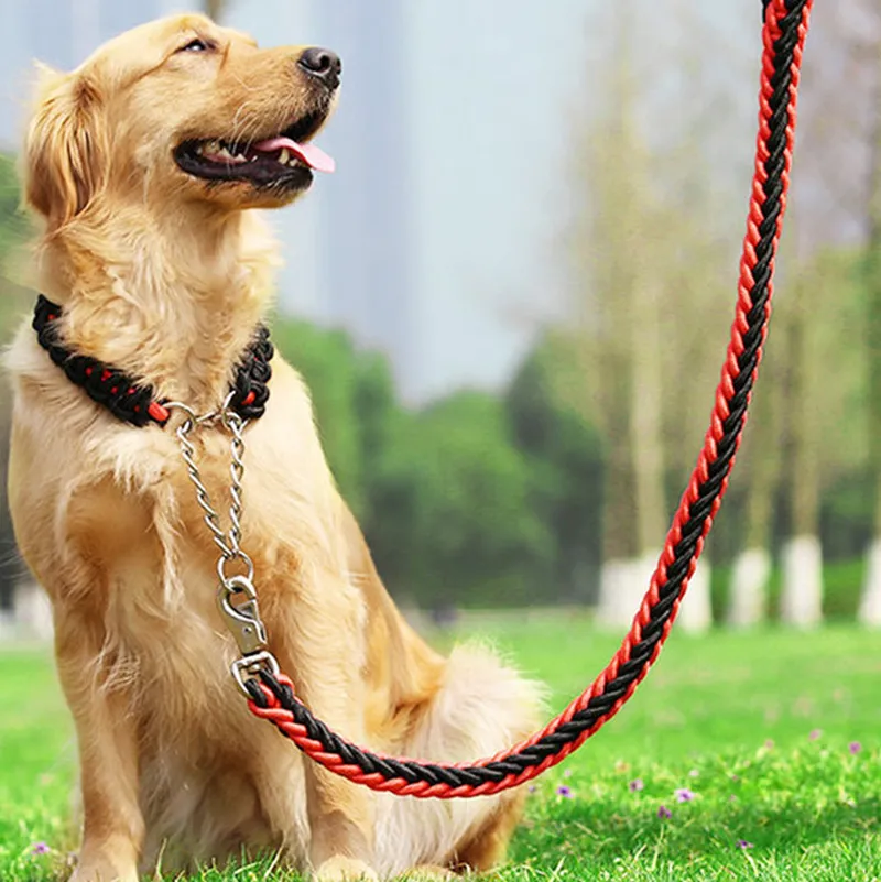 Super stark nylon 8-strand dubbelfärg hundkrafter Leasher medium och stora hundar Rope P-kedjan Durable Pet Chain Factory Direktförsäljning