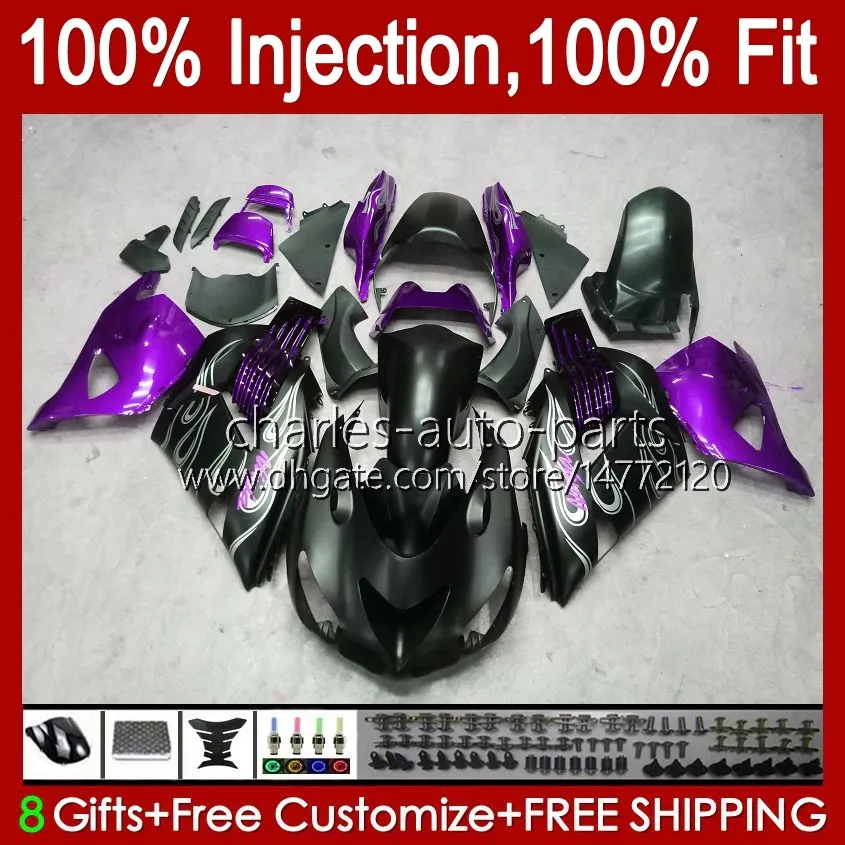 ミネルヴァ　ffr Purple Black OEM Injection Fairing For Interceptor 650 Body