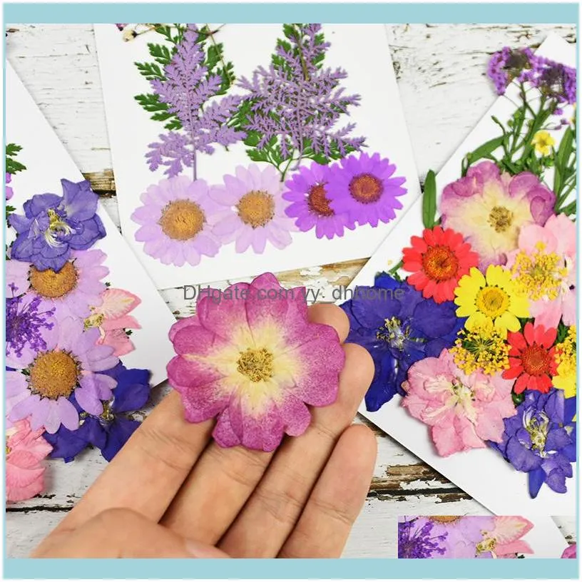 Pressed Flowers Small Dried Flower Plant DIY Handmade Scrapbooking Floral Bookmark Card Gift Box Wreath Wedding Party Decoration1