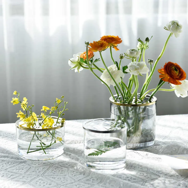 北欧の装飾家の透明な水鉄化乾燥花花瓶グラス植物花瓶デコレータタンブラーリビングルームテラリウム210623