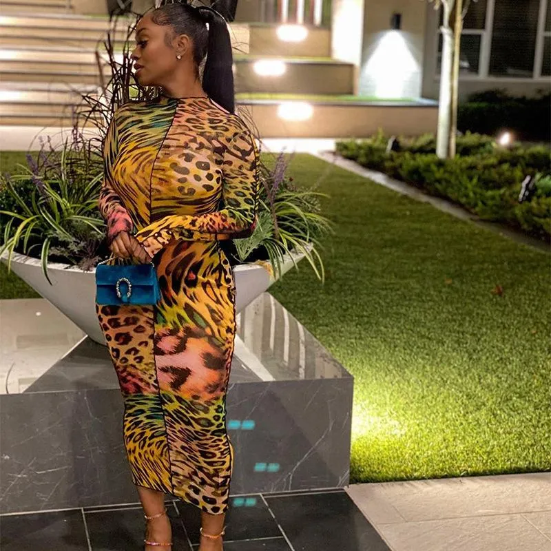 Womens Long Sleeve Maxi Dress Leopard Mesh Sheer Bodycon Straight  Ankle-Length Casual Dress Summer from Dhgate Basic & Casual Dresses - price  23.05
