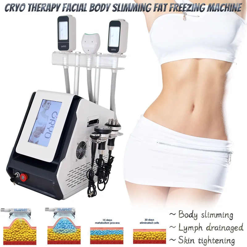 8 in 1 Cryolipolysis Fat Freeze Buik Gezicht Body Slimming Salon Gebruik Cryotherapie Lipo Laser Ultrasone Cavitatie RF Schoonheid Machine