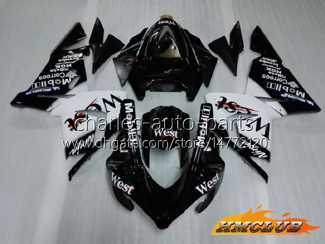 OEM Camouflage Body Kit For Kawasaki Ninja ZX1000C 04 05