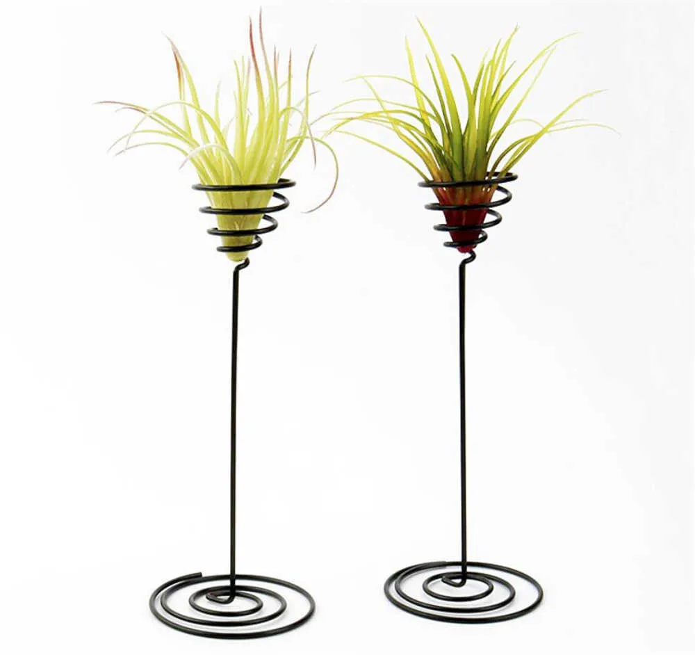 Wholesale Garden Decorations Air Plant Stand Holder Black Iron Spiral Flower AirPlant Container Tillandsia