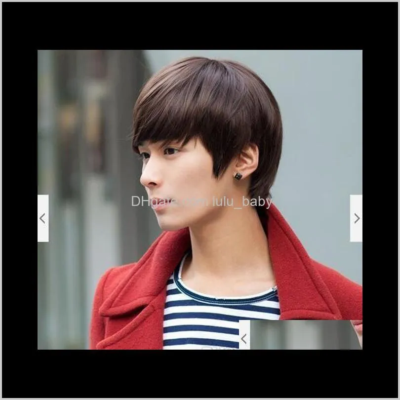 z&f men`s wig fashion wig for men short black brown wig hair popular for asia curly boy cosplay korea style