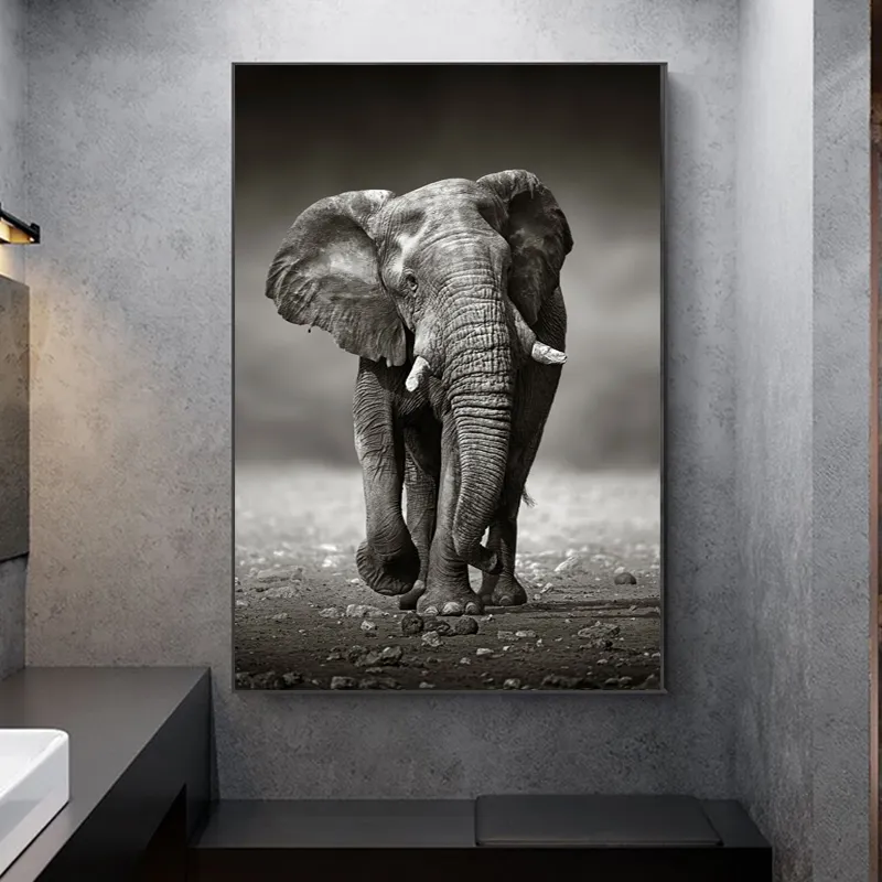 Elefante Poster Pittura Murale Per Soggiorno Decorazioni per la casa Animali in bianco e nero Immagini su tela Stampe SENZA CORNICE