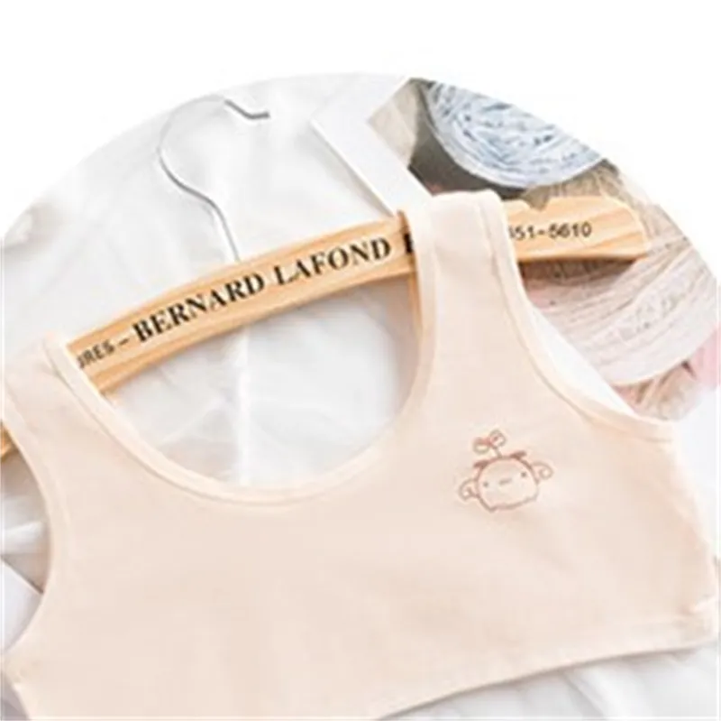 girl bra teen Underwear for Kids girls bras Baby Young Hipster Training  Lingerie vest Cotton Children 8-16Years summer 1037 Y2