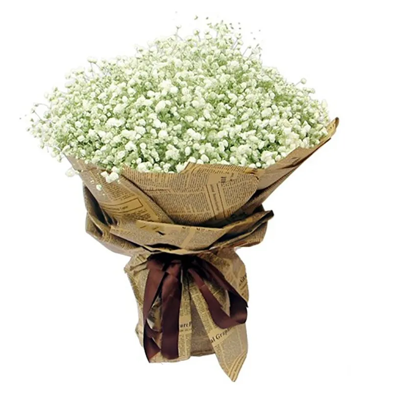 15-22 100g Natural Babys Breath Flowers Bouquet Fresh Real Touch Forever Babys Breath Flower For DIY Eternal Flower Material 210317