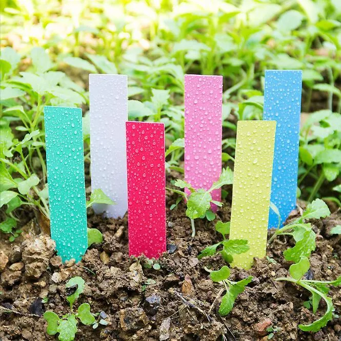 Garden Marker Waterproof Design Plastic Plant Labels Seed Pot Markers Nursery Seedling Garden Stake Tags Cute Garden Label