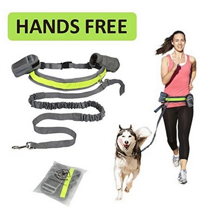 Pet Dog Cat Running Jogging Acolchoado Cintura Cinto Reflexivo Tira Elastic Leash Perfeito Treinamento de Passagem Conjunto de mãos Grátis 211022