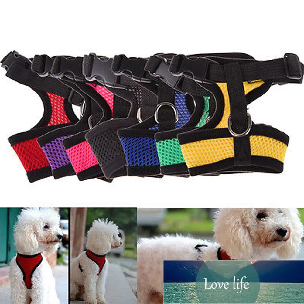 Free Small Dog Pet Harness Puppy Cat Vest Collar For Chihuahua Pug Bulldog arnes perro