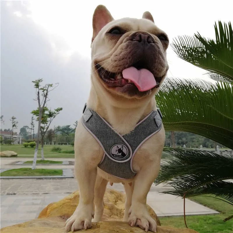 dog harness (12)