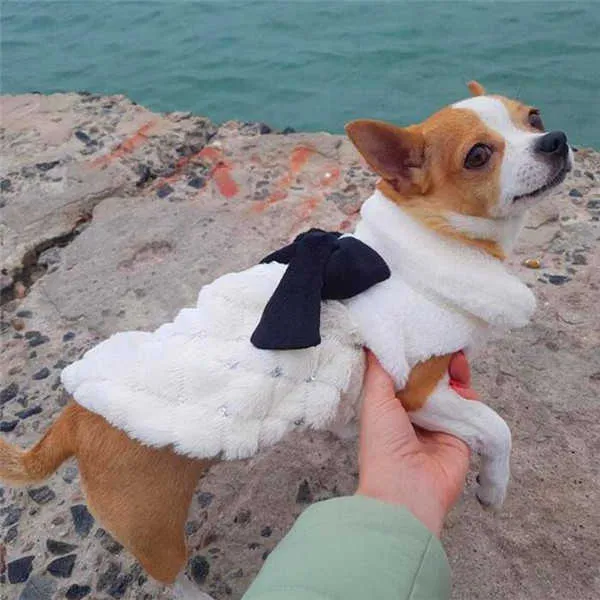 Ubrania dla zwierząt eleganckie luksusowe futra zima mały pies kota ubrania bowknot chihuahua szczeniaki