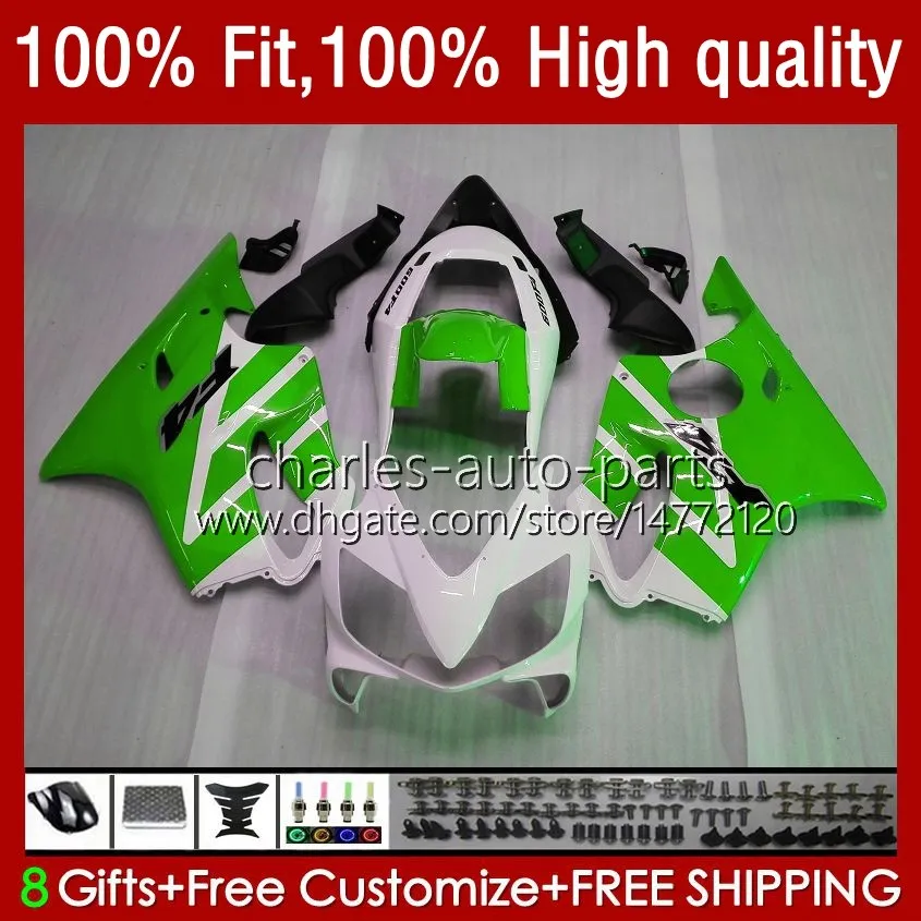 Wtrysk wagi dla Honda CBR600F4I CBR600 F4I 04 05 2006 2007 Zestaw 55NO.213 CBR White Green 600F4i 600 F4I FS CC F4 I 2004 2005 06 07 600CC CBR600FS 04-07 OEM Fairing