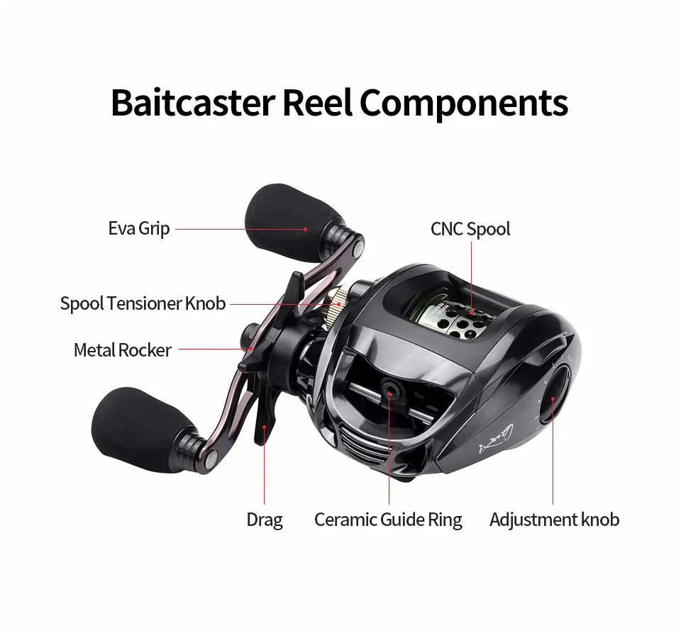 Baitcasting Reel 12 1 Ball Bearing Shallow High Speed Baitcast Fishing Reels  6 31 Gear Ratio With 5 5KG Max Drag Saltwater Right 1977 From Ch9807,  $58.72