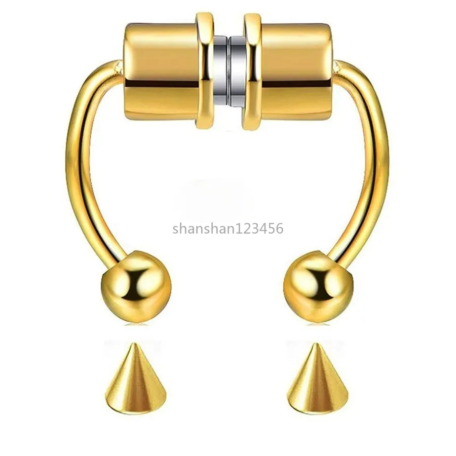 Anti Allergy Clip on Nose Rings Studs Magnet Gold Rainbow No Hole Stainless Steel Ring Body Jewelry for Women Fashion Will and Sandy