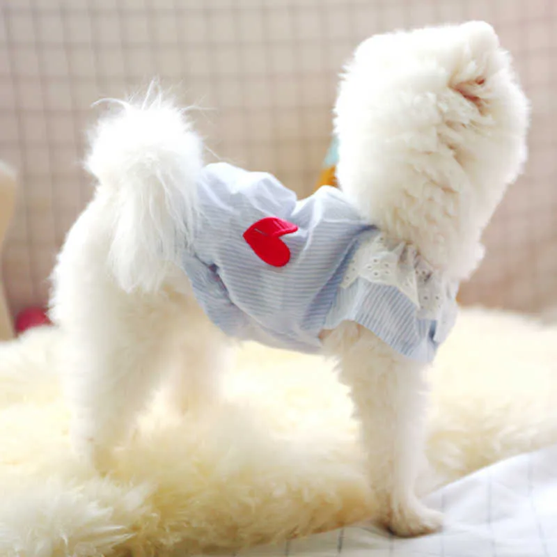 Spirng été chien vêtements dentelle poupée chemise vêtements chauds pour petits chiens Costumes manteau veste chiot chemise chiens animaux tenues