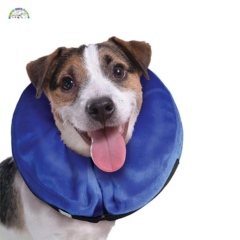 Inflatable sales e collars