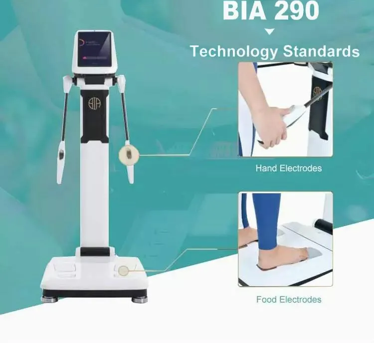 Sistema de pele Excelente resultado Saúde Veticial Elementos Humanos Manual de Análise de Pesagem Escalas de Afetos de Beleza Reduza o Analisador de Composição do Corpo BIA