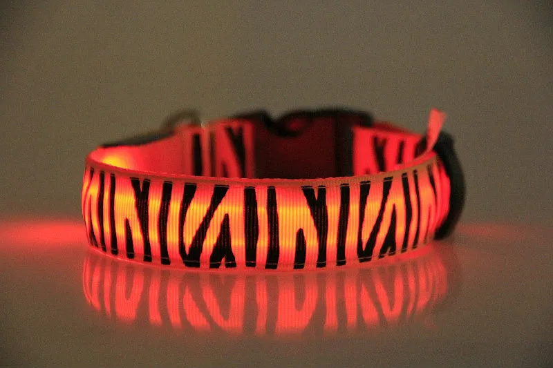 Migające kołnierze PET Zapalone Nylon Led Dog Collars Kolorowe LED Zebra Styl Collar 2,5 m Szerokość 8 Kolor S / M / L