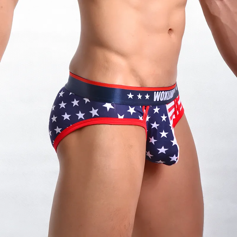 Men`s Underpants Briefs Classic USA Flag Printed Mens Brief Cotton Men Underwear Sexy Low Waist Convex Design Panties Casual