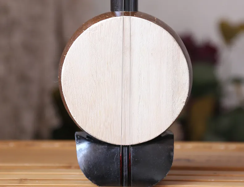 Banhu Bowed Stringed Erhu National Musical Instrument Gratis frakt