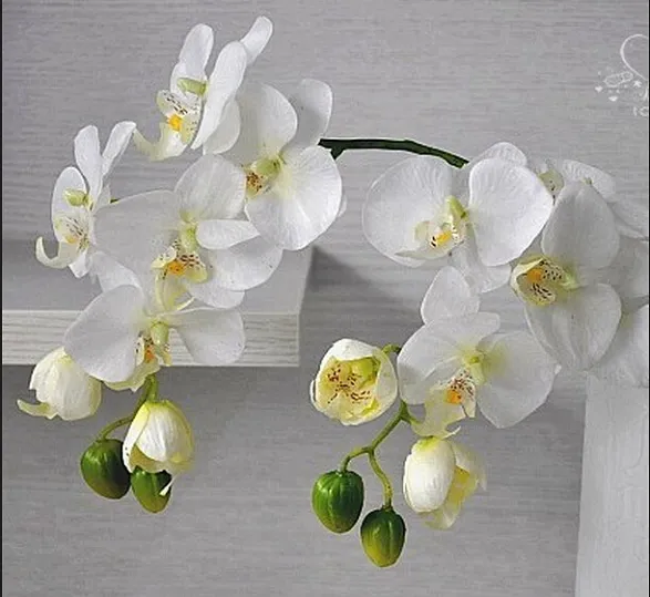 Commerci all'ingrosso Moth Orchid fiore farfalla orchidea fiore artificiale per decorazioni di nozze a casa centrotavola sullo sfondo della tavola di nozze