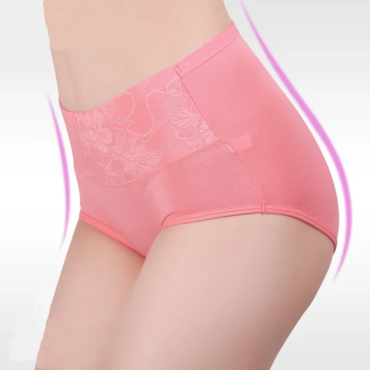 Ensence 4 Pack Seamless Panties Women Lingerie Plus Size Underwear :  : Clothing, Shoes & Accessories