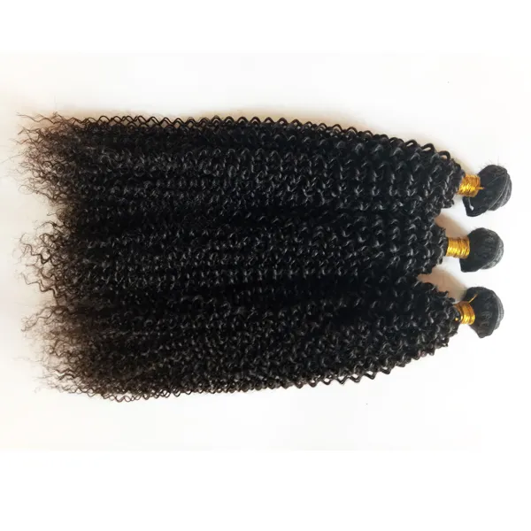 Onverwerkte Europese Braziliaanse Virgin Menselijk Haar Goedkope Prijs 3 4 / partij Kinky Curl Wholesale Maleisische Mongoolse Hair Extensions Dhgate