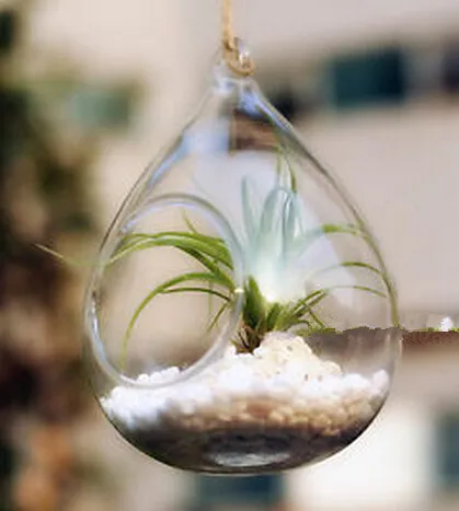 Nowy Przyjeżdża Water Drop Drop Szkło Wiszące Sadzarka Pojemnik Wazon Dekoracja Terrarium