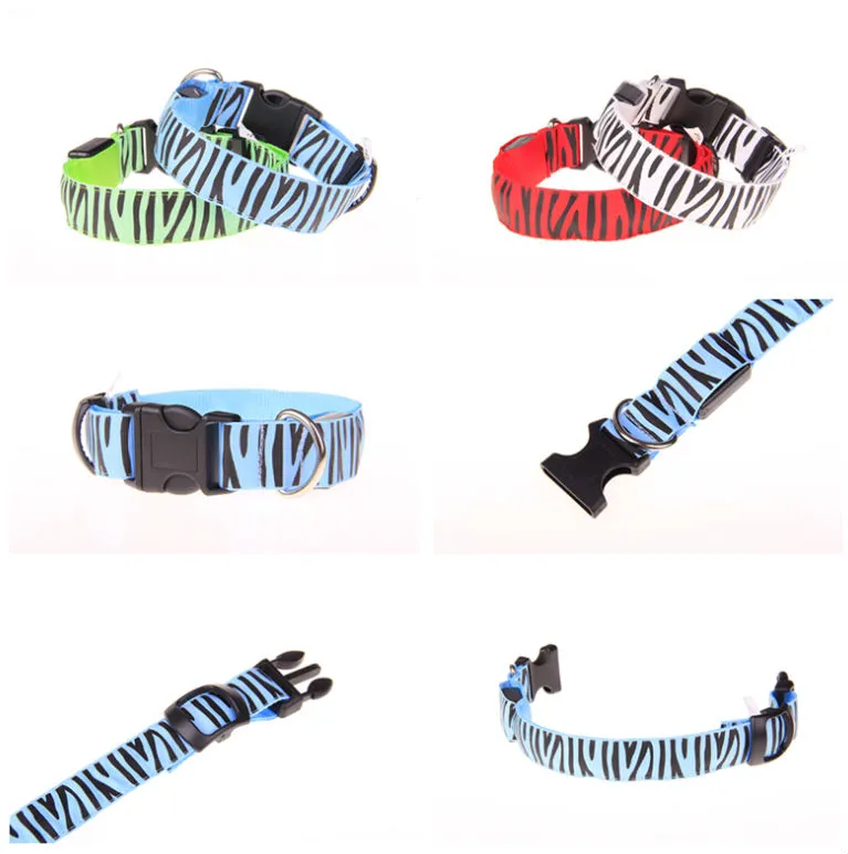 Coleiras de animal de estimação de piscamento iluminadas acima das coleiras de cão de nylon do diodo emissor de luz colar conduzido colorido do estilo da zebra largura de 2.5m S / M / L da largura 8