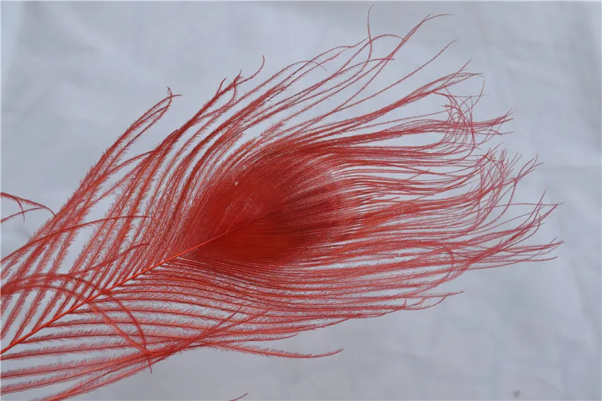 1012inch2530cm red PEACOCK Feather for ornamentationdisplayjewelry party supplies6715349