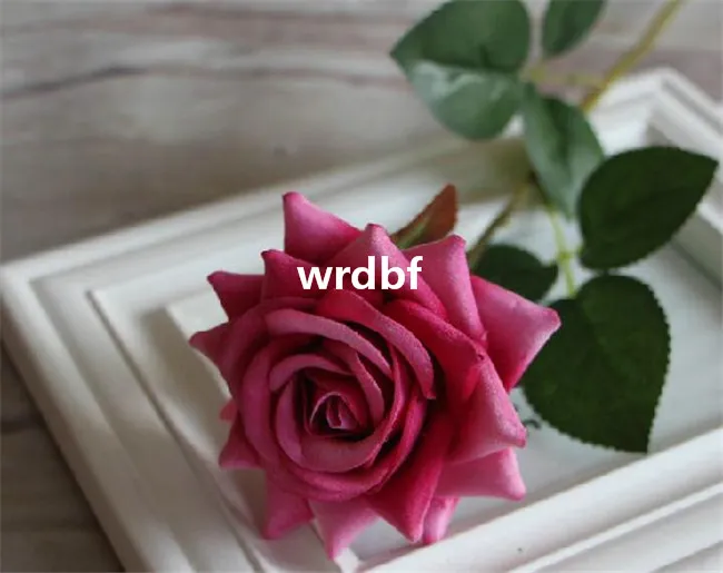 Różowe róże 50 cm / 19,7 