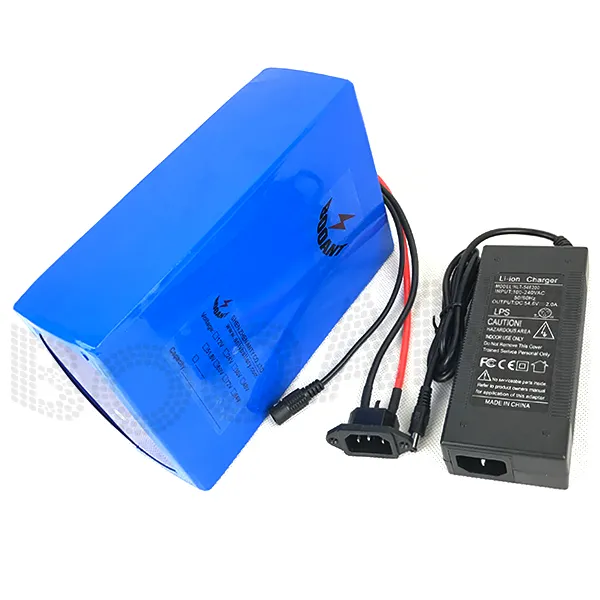 eBike Battery 48V 1000W Lithium Battery 48V 20AH Electric Bicycle Scooter Battery With 54.6V 2A Charger 30A BMS 1000 times Cycle