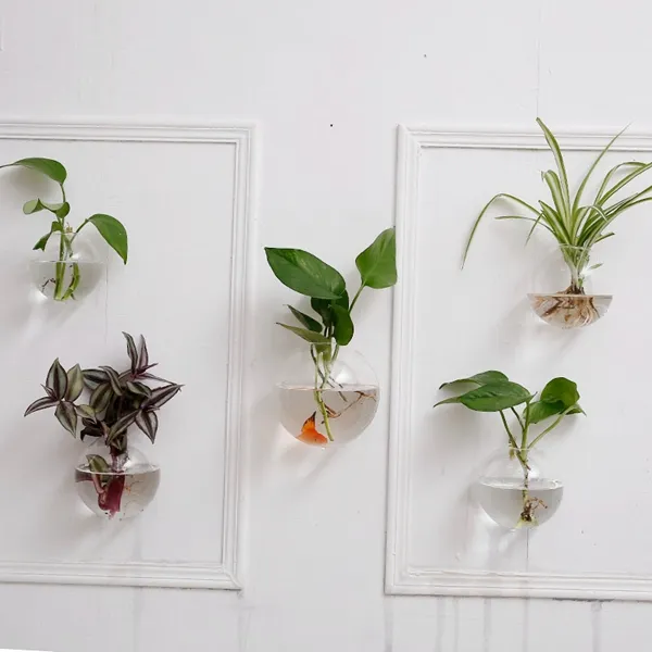 / set 유리 벽 Terrariums, 벽 화분 꽃병, 벽 그릇, 벽 장식, 실내 장식에 실내 식물을 교수형 집행