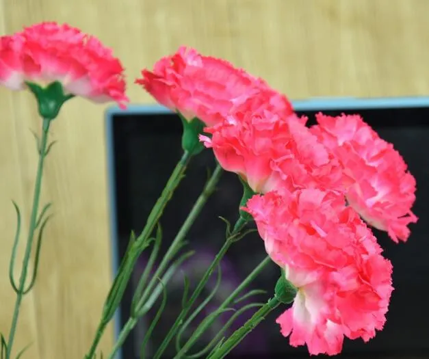 Simulation fleur fête des mères fête des enseignants paquet d'oeillets en gros seule branche Kang Xin